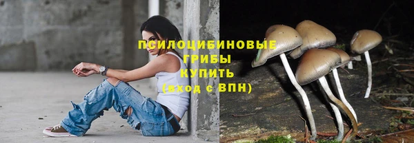 меф Арсеньев