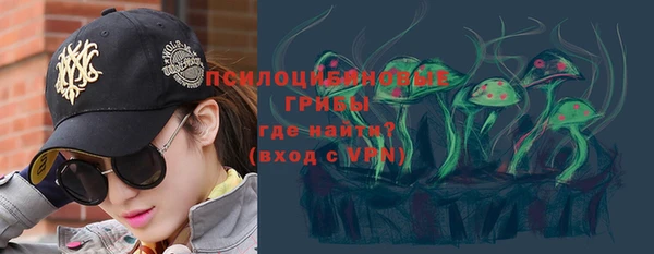 гидра Снежинск