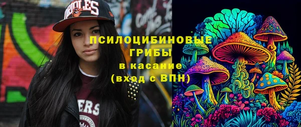 меф Арсеньев