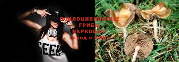 2c-b Аркадак