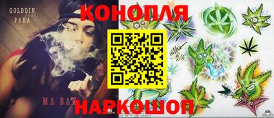 гидропоника Чебоксары