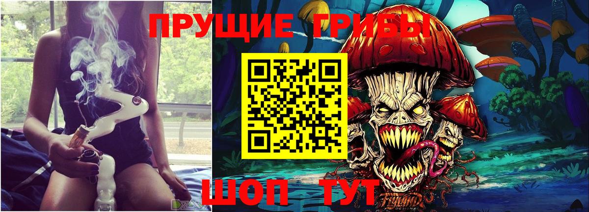 Галлюциногенные грибы MAGIC MUSHROOMS  Вход с VPN  Междуреченск 
